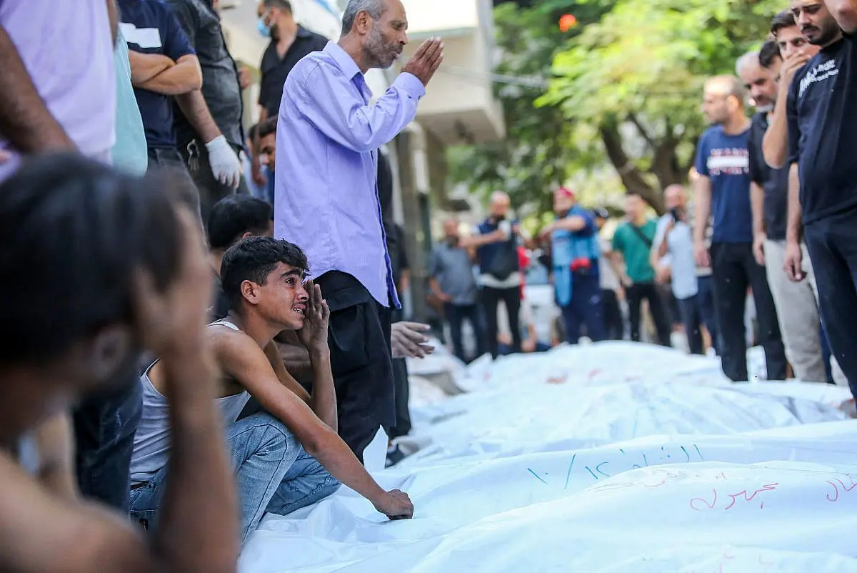 'Gaza death toll from Israeli attacks exceeds 8K'