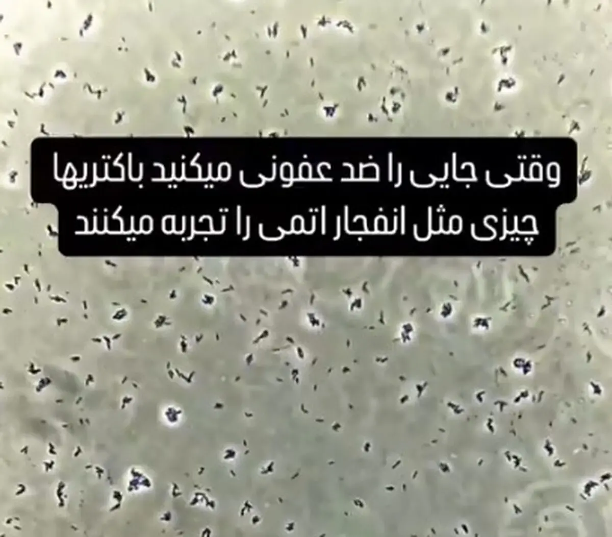 وقتی جایی را ضدعفونی میکنیم باکتریها چیزی مثل انفجار اتمی رو تجربه میکنند + فیلم