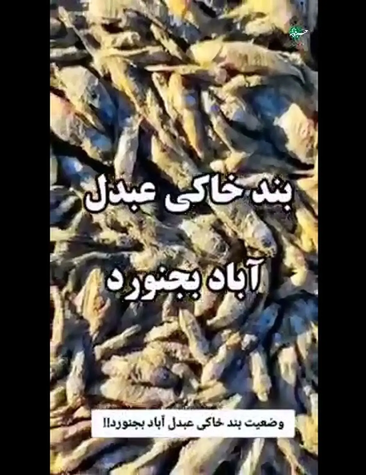 وضعیت عجیب خشکسالی بندخاکی عبدلآباد بجنورد + فیلم