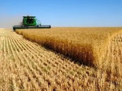 کاهش 1.8 درصدی ضایعات کمباین در مزارع گندم استان زنجان 