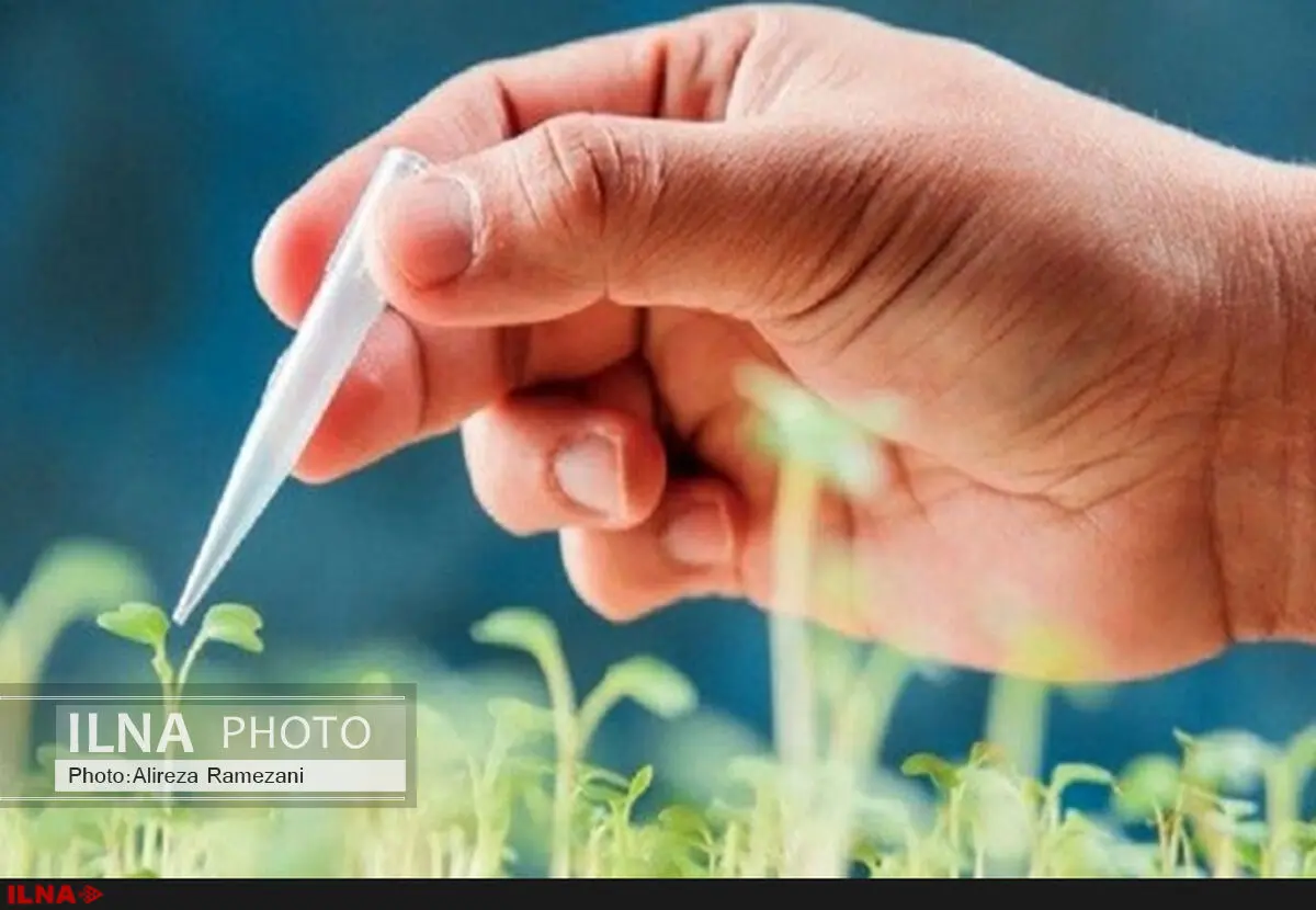 بهره‌برداری سیاسی در مخالفت با تراریخته/ در فضای سالم علمی بحث کنیم