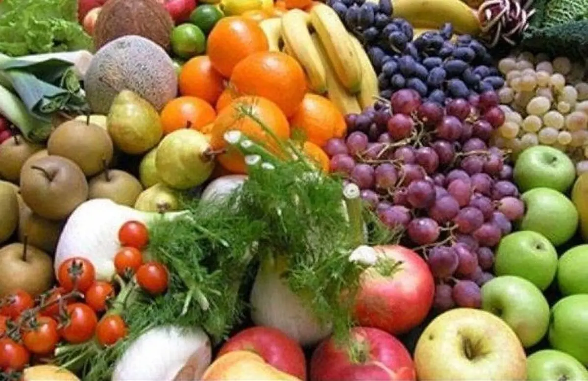 افزایش 3 میلیون تن محصولات زراعی و باغی در بابل