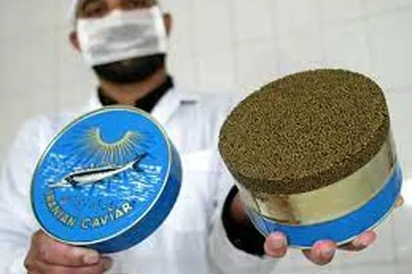 Iran's Caviar export to EU resumed