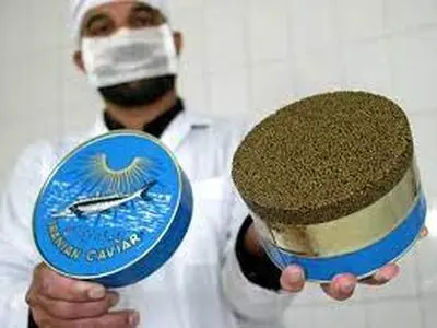 Iran's Caviar export to EU resumed