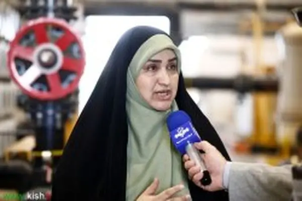 تقویت ماده ۶۵ و احیای قانون نحوه چگونگی اداره مناطق آزاد، کمک به مناطق آزاد است