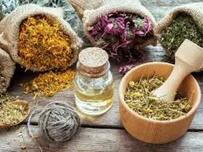 پیشنهاد پوشش بیمه‌ای داروهای گیاهی/ اختلال در تشخیص بیماری‌های اعصاب و روان در صورت استفاده همزمان داروی سنتی و شیمیایی




