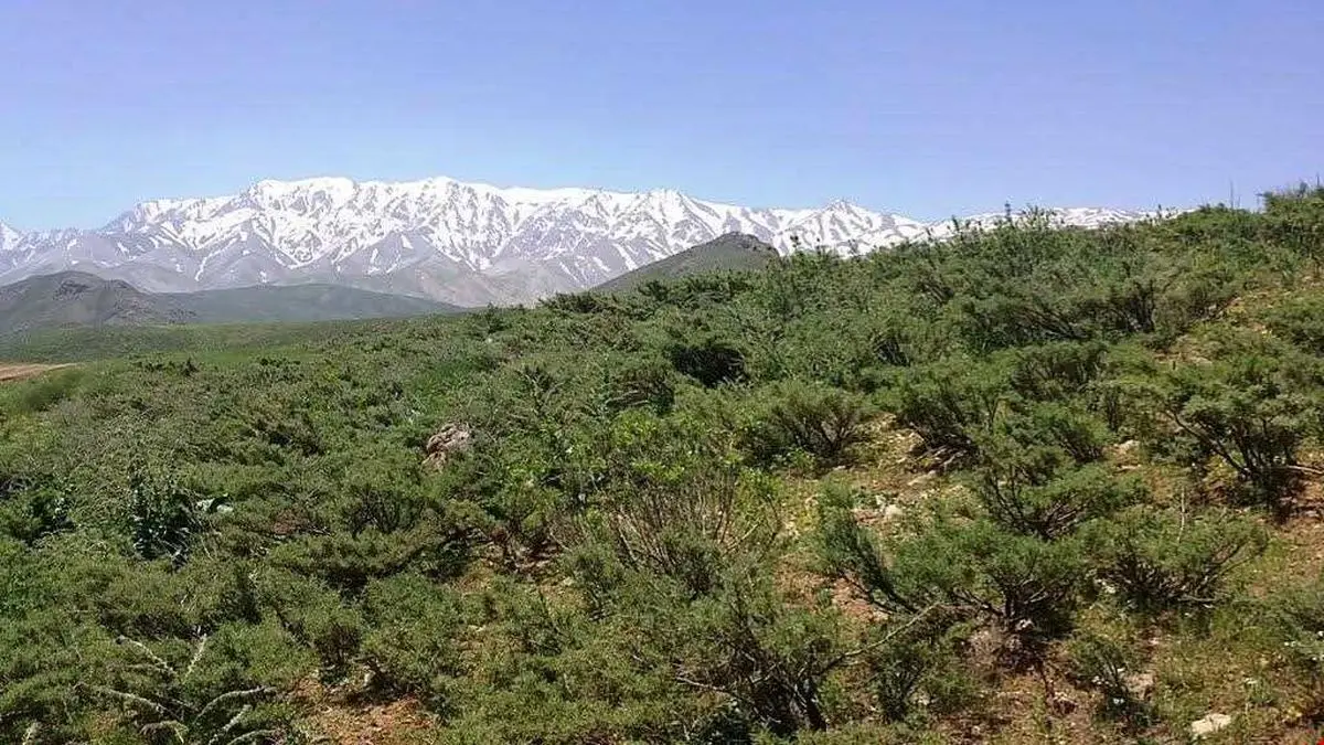 خدمات اکوسیستمی «منطقه حفاظت شده قالیکوه» لرستان مورد پایش قرار می‌گیرد