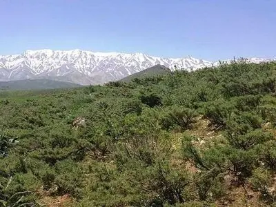 خدمات اکوسیستمی «منطقه حفاظت شده قالیکوه» لرستان مورد پایش قرار می‌گیرد