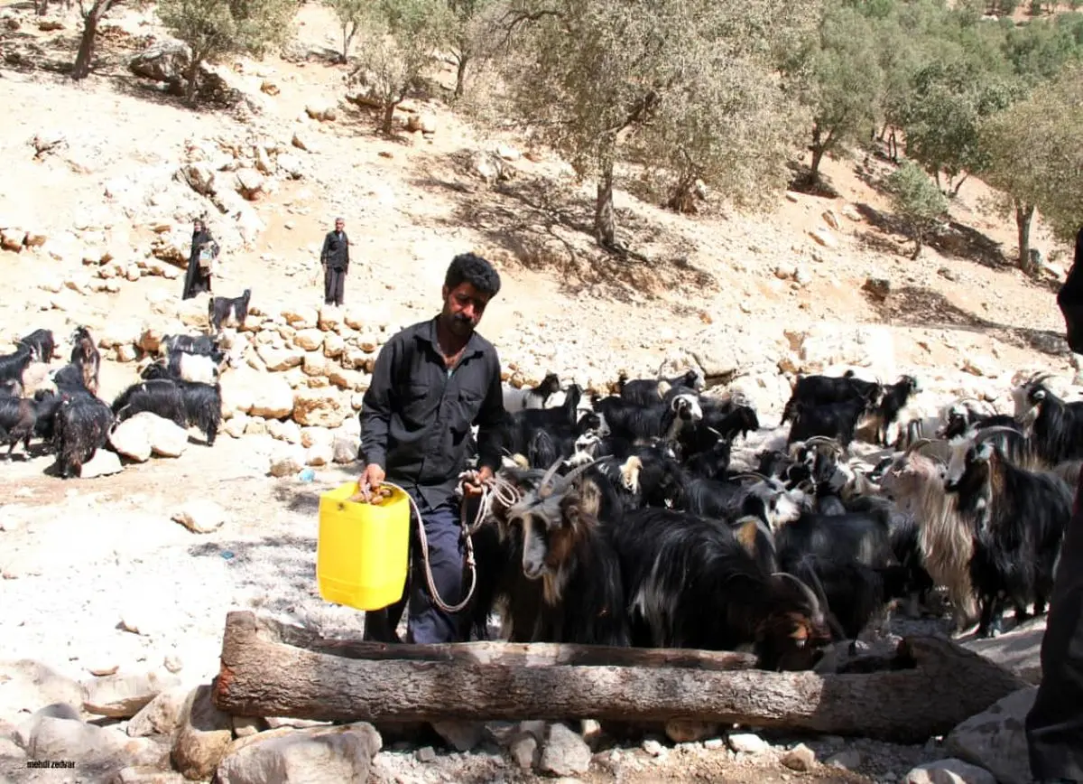 واریز اعتبار سازمان هدفمندی برای تامین آب شرب استان خوزستان