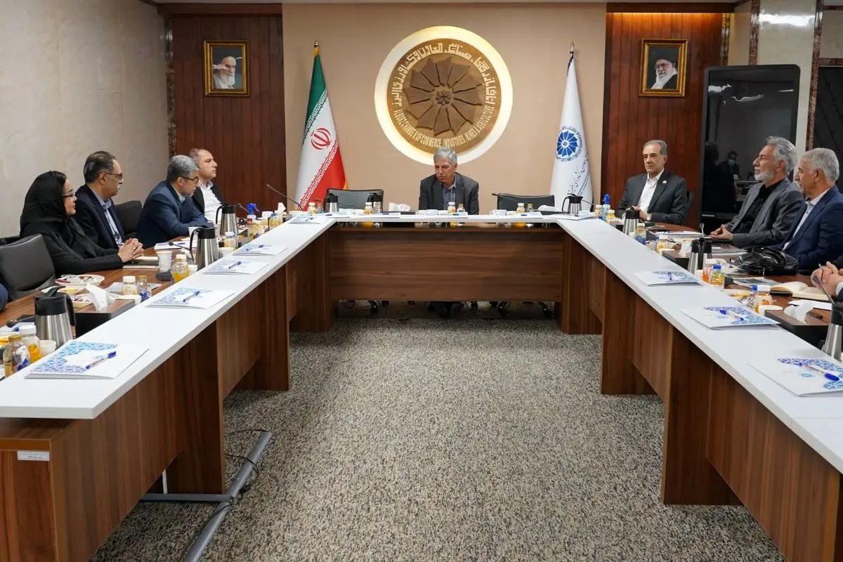 تسهیل واردات و تقویت همکاری بخش خصوصی، راه عبور تولید از بحران‌های زیرساختی است