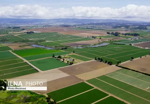 ثبت بیش از هفت هزار از اسناد اراضی کشاورزی در لرستان