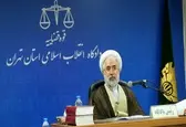 مشروح دومین جلسه دادگاه رسیدگی به پرونده تیمور عامری و ۱۶ متهم دیگر
