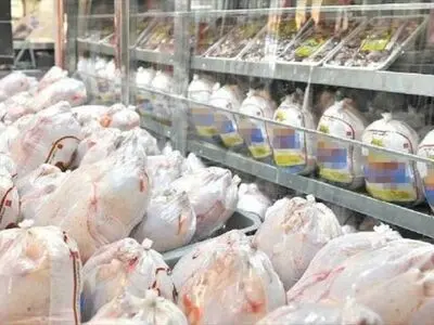 بیش از ۴۵۶ تُن فرآورده های مرغ در یک روز از مازندران به تهران ارسال شد