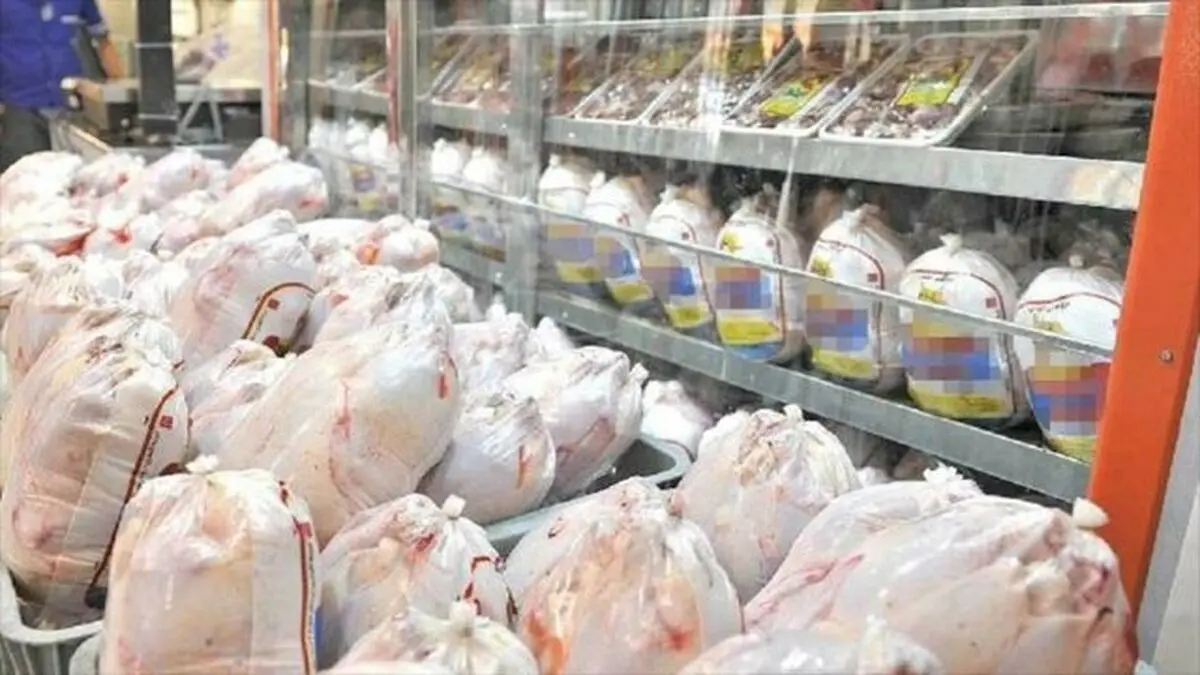 بیش از ۴۵۶ تُن فرآورده های مرغ در یک روز از مازندران به تهران ارسال شد
