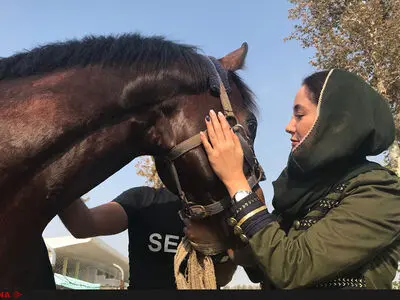 بهاره افشاری بیلبوردهای اهدایی شهرداری تهران را پس داد 