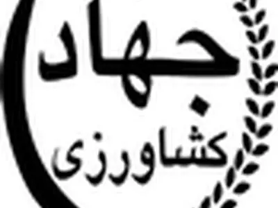 ۸۵ درصد تسهیلات پرداختی برای اجرای طرح آبیاری تحت فشار بلاعوض است