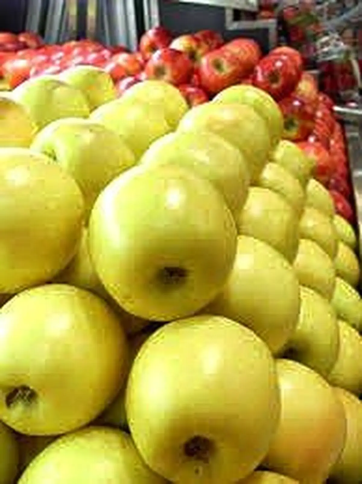 دستور دادگستری آذربایجان غربی درباره کنترل قیمت سیب بازار شب عید