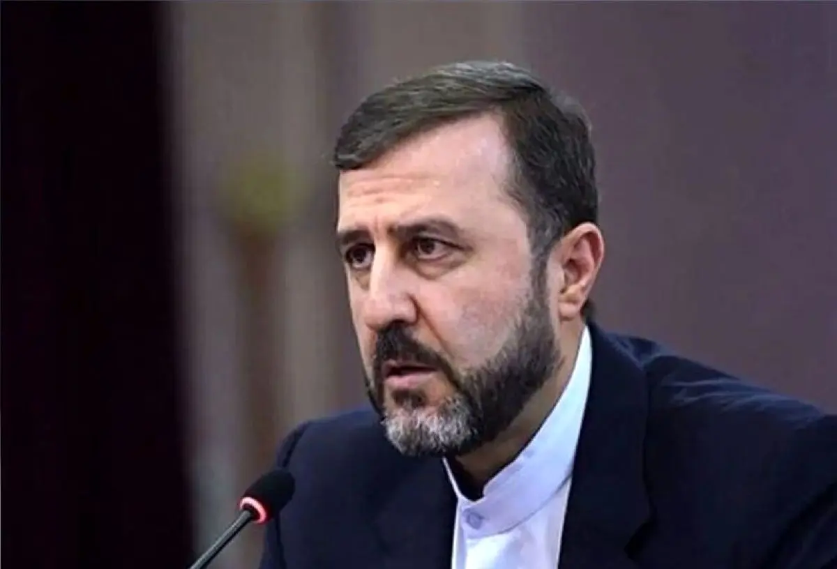 Israel’s nuclear arsenal main obstacle to nuclear-weapon-free Middle East: Gharibabadi