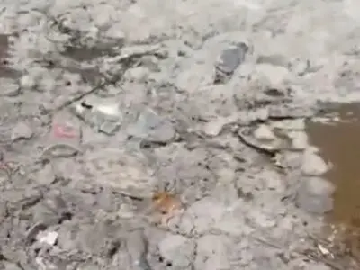 ساحل گناوه، بعد از رفتن مسافران نوروزی + فیلم