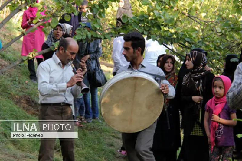 گالری