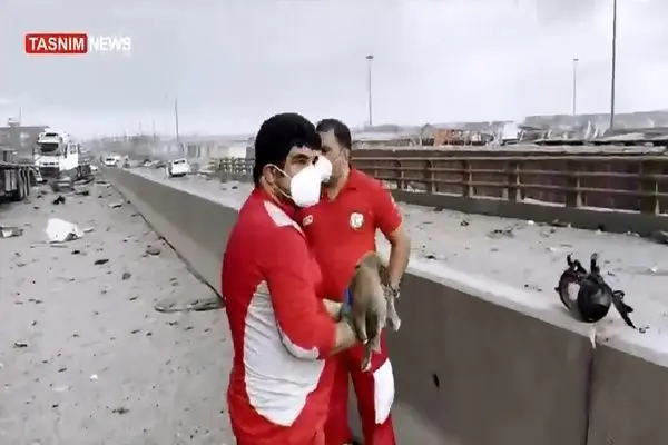 ویدیویی از نجات یک سگ در میانه‌ی ویرانی‌های بندر شهید رجایی توسط امدادگران که با واکنش احساسی کاربران فضای مجازی همراه شده است