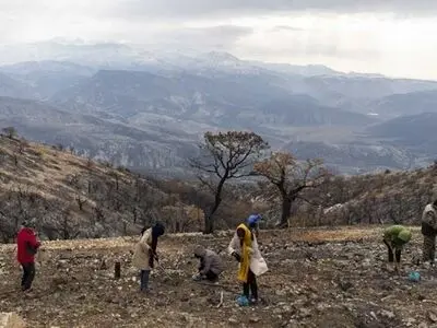 آغاز پویش مردمی احیای جنگل‌های زاگرس در کرمانشاه