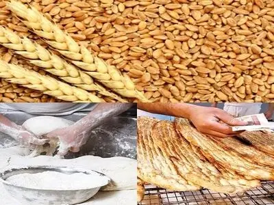 ضرورت رفع موانع اداری در صدور مجوزهای استاندارد برای مراکز خرید گندم