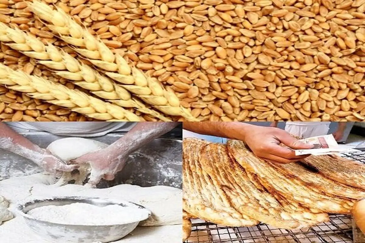 ضرورت رفع موانع اداری در صدور مجوزهای استاندارد برای مراکز خرید گندم