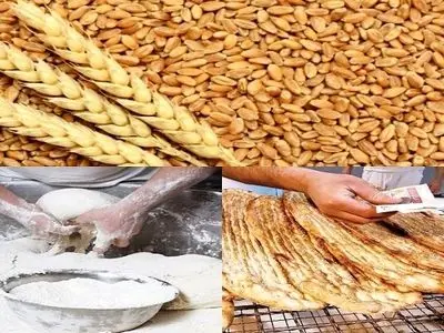 ضرورت رفع موانع اداری در صدور مجوزهای استاندارد برای مراکز خرید گندم