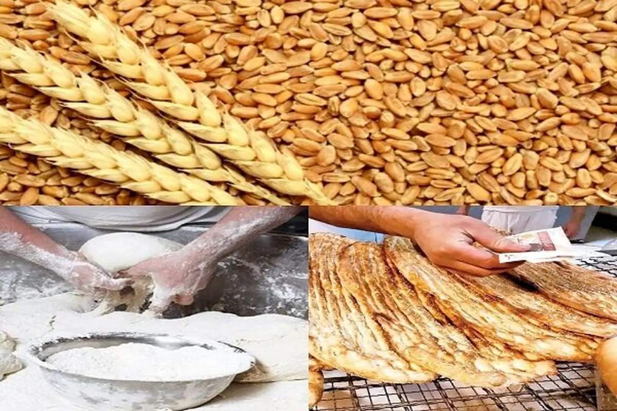 ضرورت رفع موانع اداری در صدور مجوزهای استاندارد برای مراکز خرید گندم