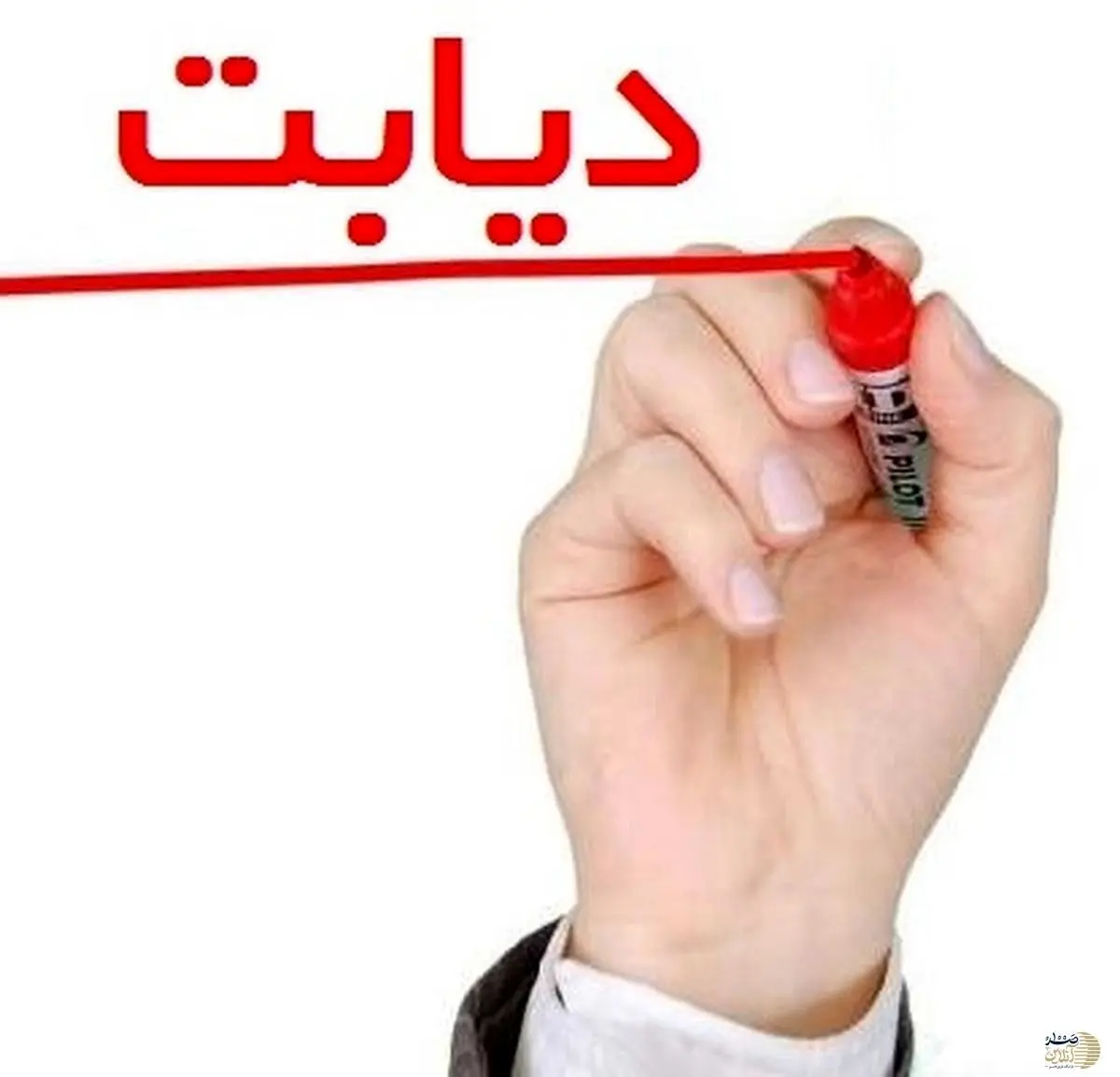 asdasd