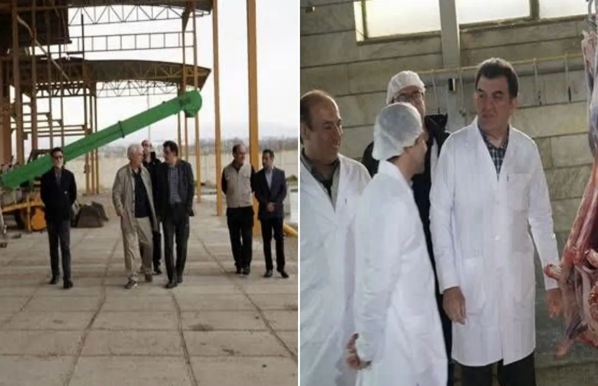 بازدید مدیرکل دامپزشکی استان البرز از کشتارگاه دام و سیلوهای ذخیره‌سازی نهاده‌های دامی‌ 