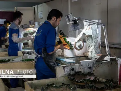 کارفرمایان متخلف و کارگرانی که نمی‌توانند ادعای خود را ثابت کنند/ برخی کارفرمایان  از ارائه مدرک خودداری می‌کنند/ هیات‌های حل اختلاف ملزم به تحقیق محلی هستند