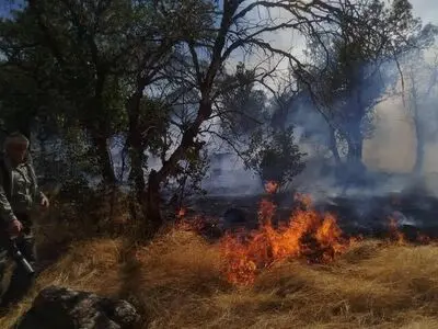 مهار آتش سوزی در منطقه جنگلی شیوآن سردشت/بیش از ۲۰۰۰ متر مربع پوشش جنگلی و چادر گردشگران طعمه حریق شد 