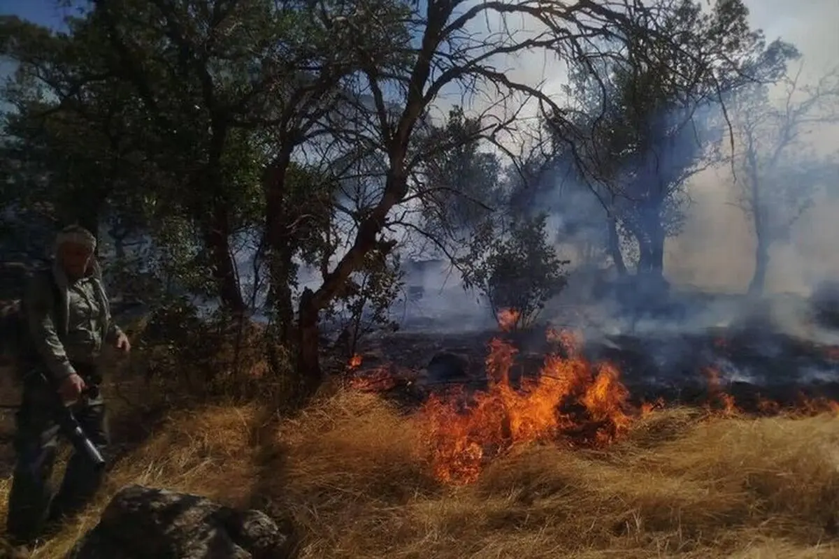 مهار آتش سوزی در منطقه جنگلی شیوآن سردشت/بیش از ۲۰۰۰ متر مربع پوشش جنگلی و چادر گردشگران طعمه حریق شد 