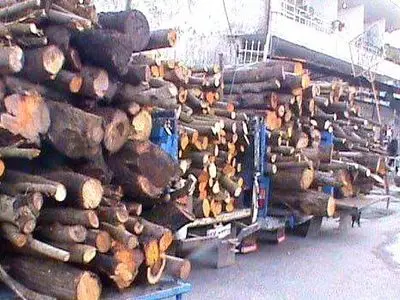 کشف ۲۳ تن چوب قاچاق از ۱۵ خودروی باری در صومعه سرا