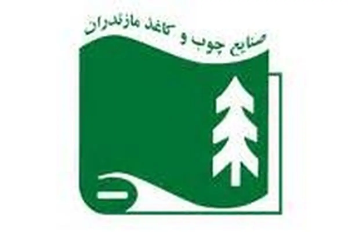 در جمع ۵۰۰ شرکت برتر ایران رتبه اول صنایع سلولزی را کسب نمود