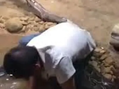 لحظه بلعیده شدن نگهبان باغ‌وحش حین غذا دادن به مار + فیلم