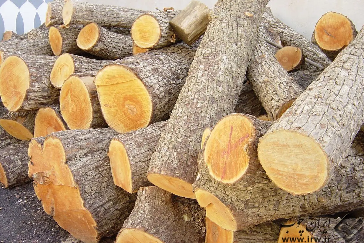 کشف بیش از یک تن چوب قاچاق توسط مرزبانان درگز در خراسان رضوی