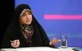 تحویل اصلاحات قانون حمل سلاح برای محیط‌بانان به کمیسیون قضایی