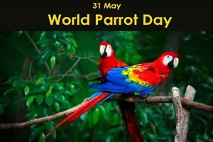 31 مه روز جهانی طوطی است