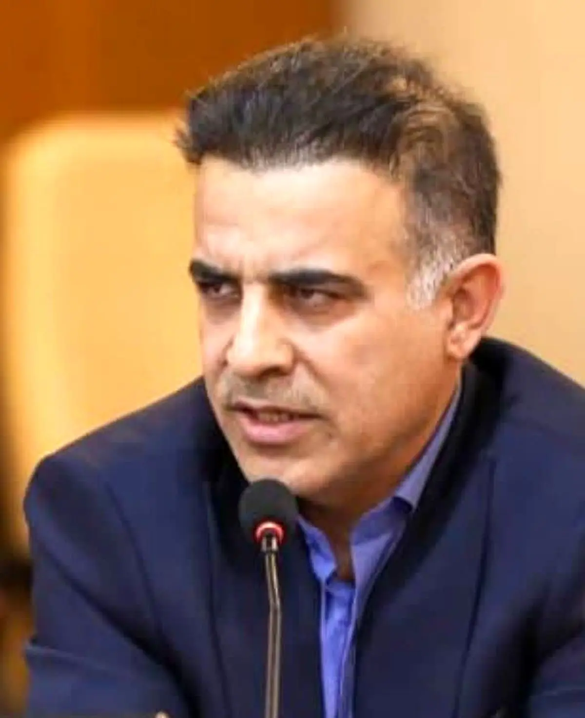 نامدارخانی معاون امور معادن و صنایع معدنی صمت فارس شد