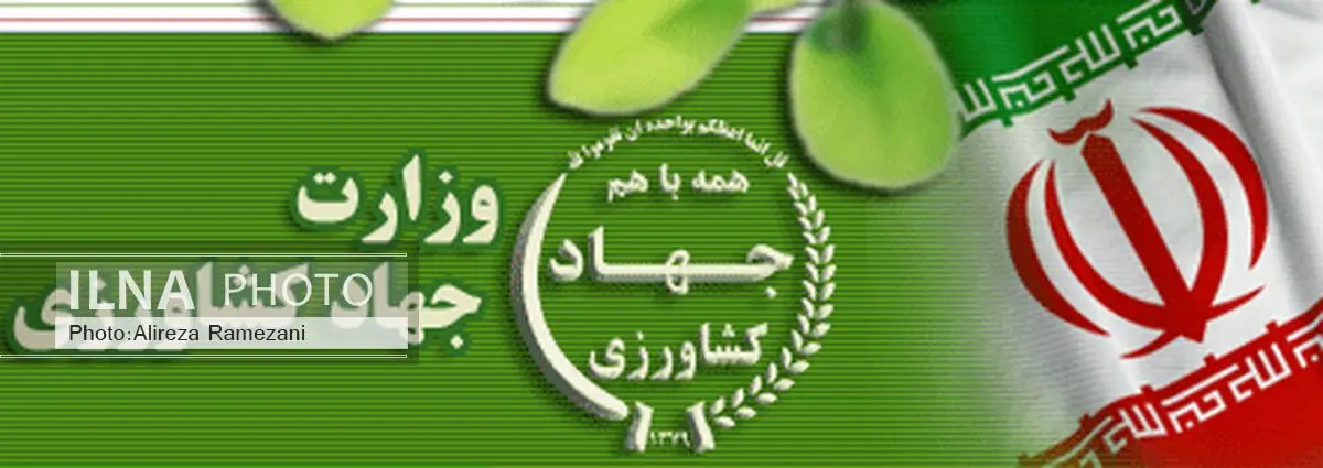 مدیرعامل جدید شرکت هواپیمایی خدمات ویژه معرفی شد