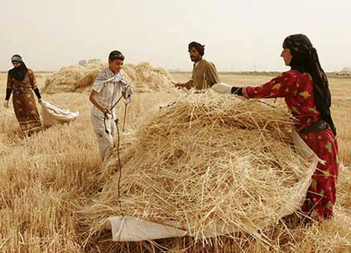 مطالبات کشاورزان هرسینی باید پرداخت شود