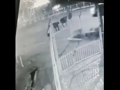 حمله سارقان زورگیر به دانشجوی دانشگاه تهران + فیلم