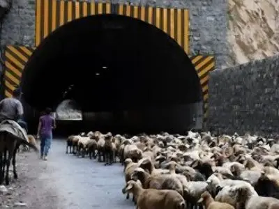 انسداد ۲۴ ساعته محور کندوان به منظور جابه‌جایی احشام