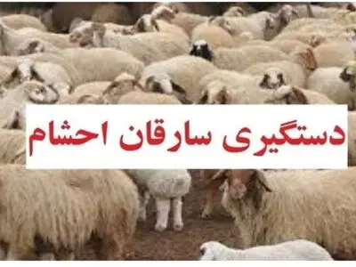 کشف پرونده ۴ میلیاردی احشام در گلوگاه