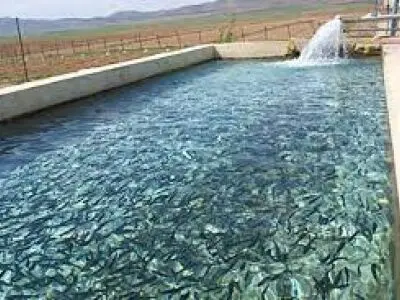 Iran’s fishery production rises 32% in 7 months yr/yr