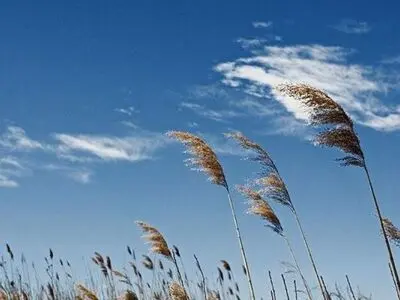 جوی آرام در بیشتر مناطق کشور


