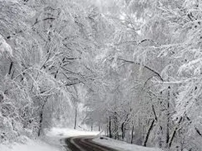 برف جنگل‌های دیلمان را تماشایی کرد+ فیلم